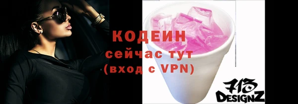 гидра Богородск