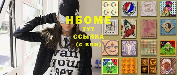 гидра Богородск