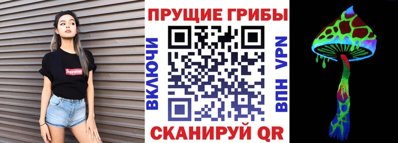 kraken маркетплейс  Киселёвск  Псилоцибиновые грибы Psilocybe 